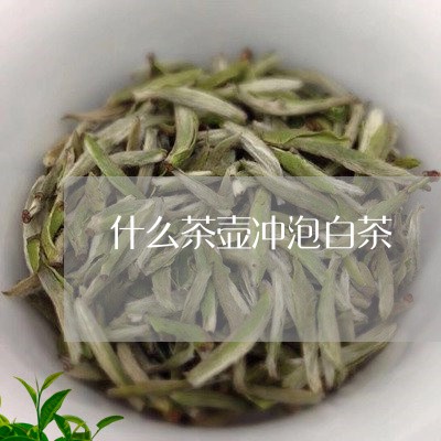 什么茶壶冲泡白茶/2023061592818