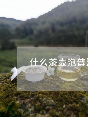 什么茶壶泡普洱茶比较好/2023082570603