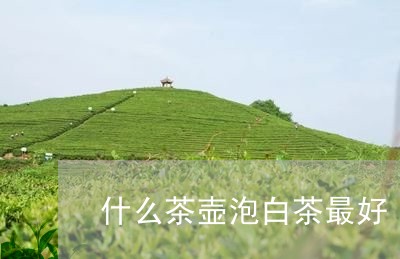 什么茶壶泡白茶最好/2023081293126