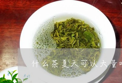 什么茶夏天可以大量喝/2023071472513