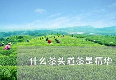 什么茶头道茶是精华/2023042197270