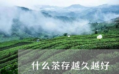 什么茶存越久越好/2023042102837