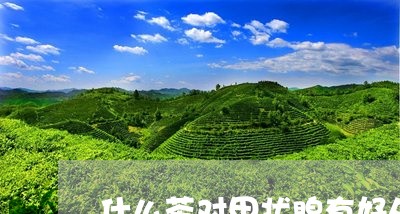 什么茶对甲状腺有好处/2023071496936