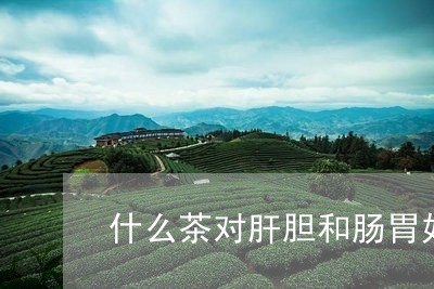 什么茶对肝胆和肠胃好/2023071418369