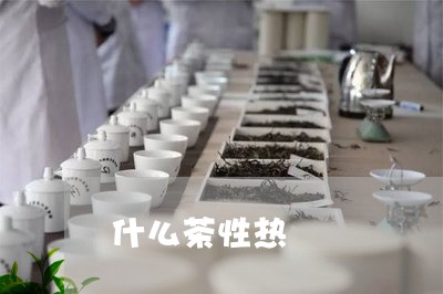 什么茶性热/2023090272816