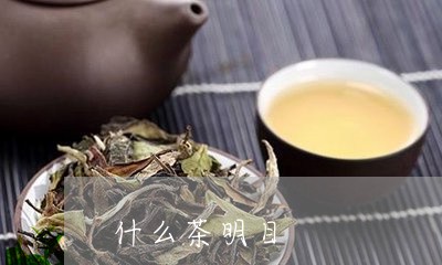 什么茶明目/2023121950382