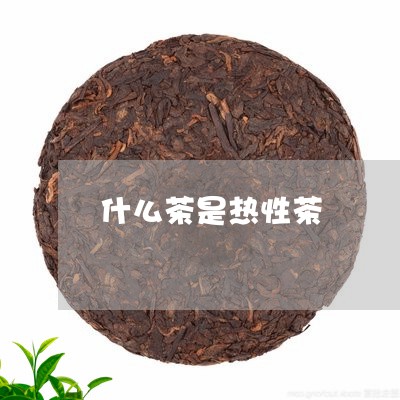 什么茶是热性茶/2023042954986