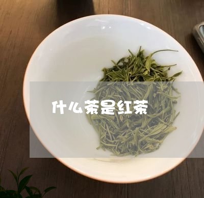 什么茶是红茶/2023042945532