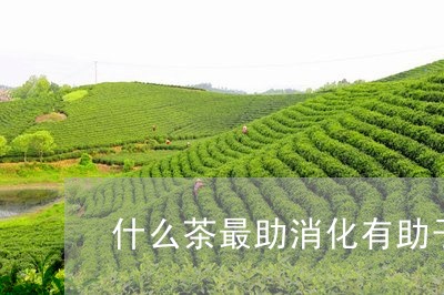 什么茶最助消化有助于消化的茶/2023060184025