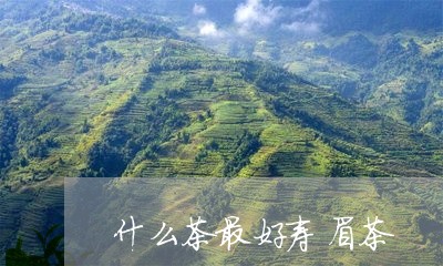 什么茶最好寿眉茶/2023090825269