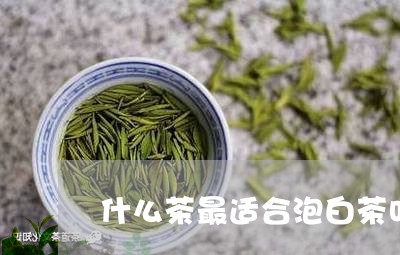 什么茶最适合泡白茶叶呢/2023082575259