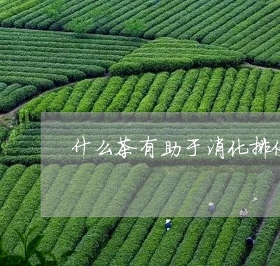 什么茶有助于消化排便/2023071493937