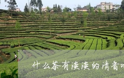 什么茶有淡淡的清香味/2023071462736