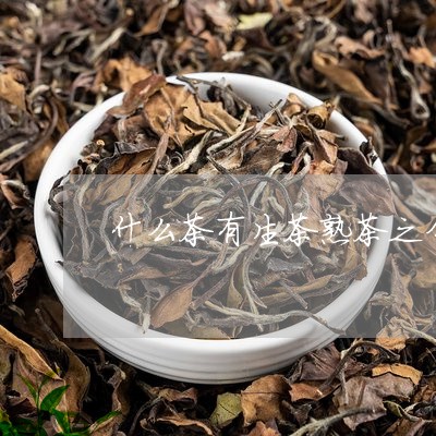 什么茶有生茶熟茶之分/2023061005252