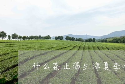 什么茶止渴生津夏季喝/2023071438271