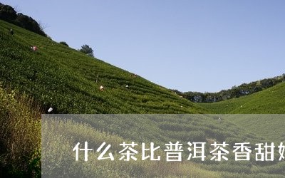 什么茶比普洱茶香甜好喝/2023082857350