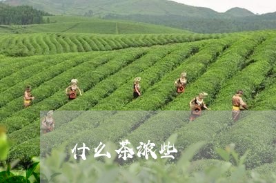 什么茶浓些/2023090280582