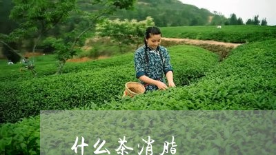 什么茶消脂/2023090244060