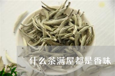 什么茶满屋都是香味/2023042198382