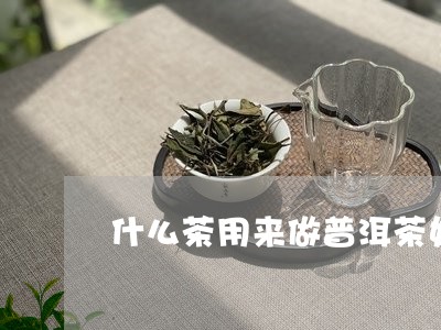 什么茶用来做普洱茶好/2023110547380