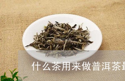 什么茶用来做普洱茶最好/2023110569482