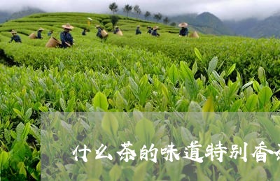 什么茶的味道特别香茶香有哪些类型/2023060406059