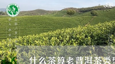 什么茶算老普洱茶类型的茶/2023112586380