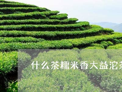 什么茶糯米香大益沱茶/2023061094046