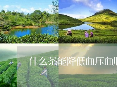 什么茶能降低血压血脂/2023071483836