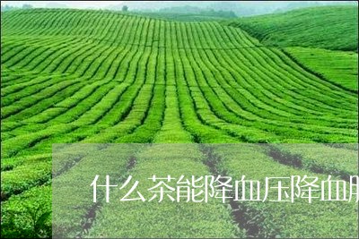 什么茶能降血压降血脂/2023071437460