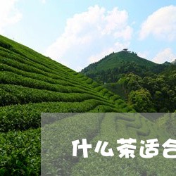 什么茶适合用玻璃壶煮/2023071466939