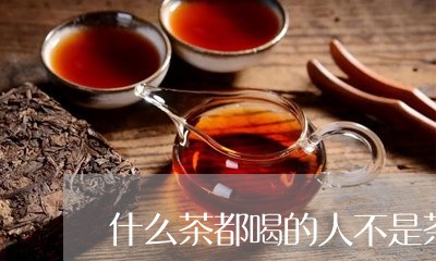 什么茶都喝的人不是茶人就是卖茶的/2023060461614