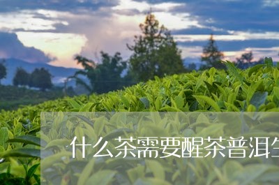 什么茶需要醒茶普洱生茶醒茶的方法/2023060349495