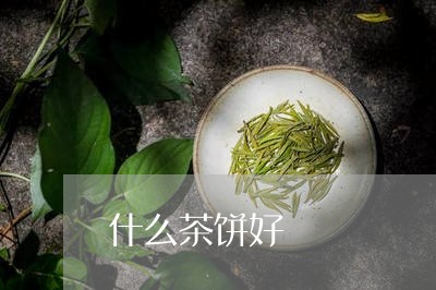 什么茶饼好/2023122081402