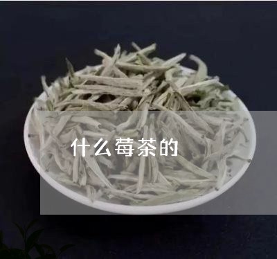 什么莓茶的/2023122035250