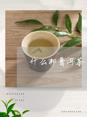 什么邦普洱茶/2023042683387