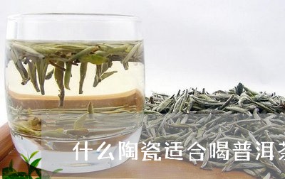 什么陶瓷适合喝普洱茶/2023100774916