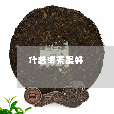 什普洱茶最好/2023042833718