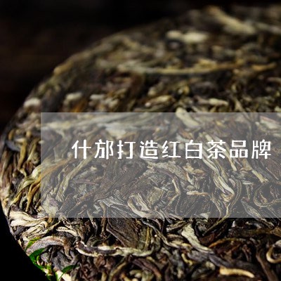 什邡打造红白茶品牌/2023121602847