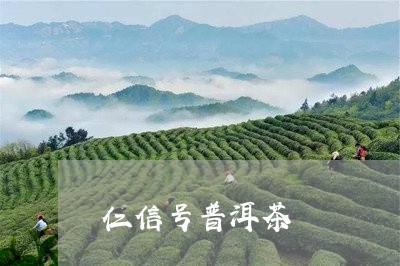 仁信号普洱茶/2023042746647