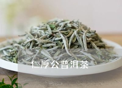 仁厚公普洱茶/2023042675676