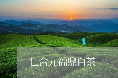 仁合元福鼎白茶/2023111530605