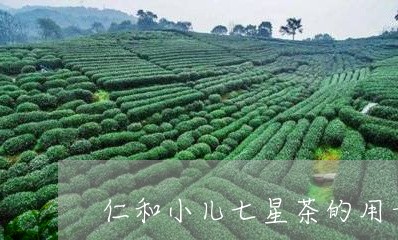 仁和小儿七星茶的用量/2023060951697