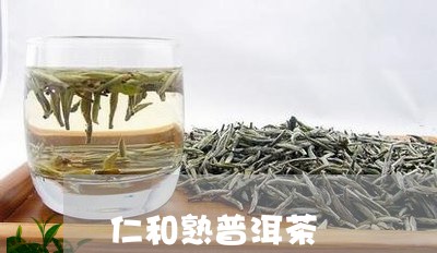 仁和熟普洱茶/2023042656881