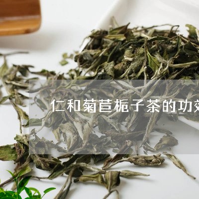 仁和菊苣栀子茶的功效/2023060970403