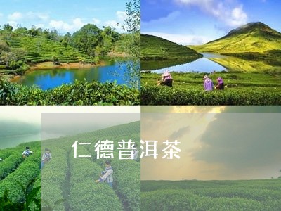 仁德普洱茶/2023090545847