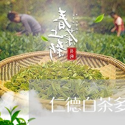 仁德白茶多少钱一斤/2023071538371