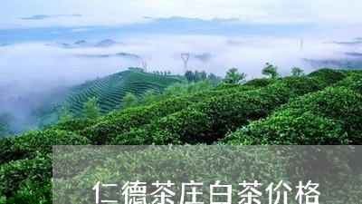 仁德茶庄白茶价格/2023061524935