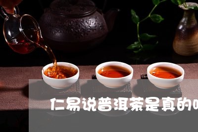 仁易说普洱茶是真的吗/2023092835472