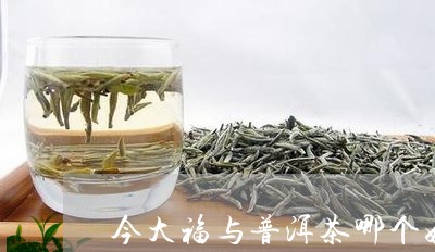 今大福与普洱茶哪个好/2023061773714